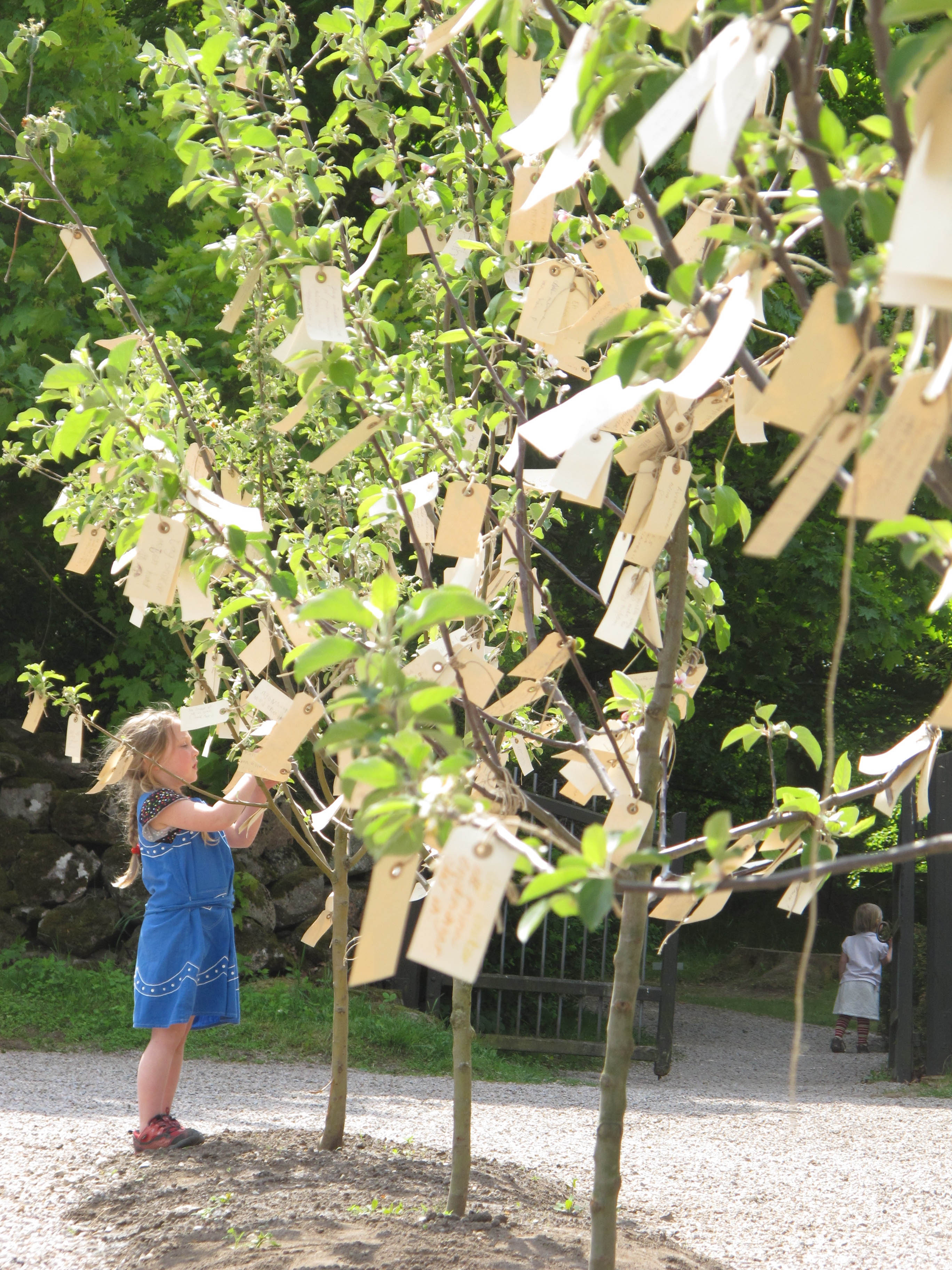 Yoko Ono, Wish Trees for Wanås, 2011